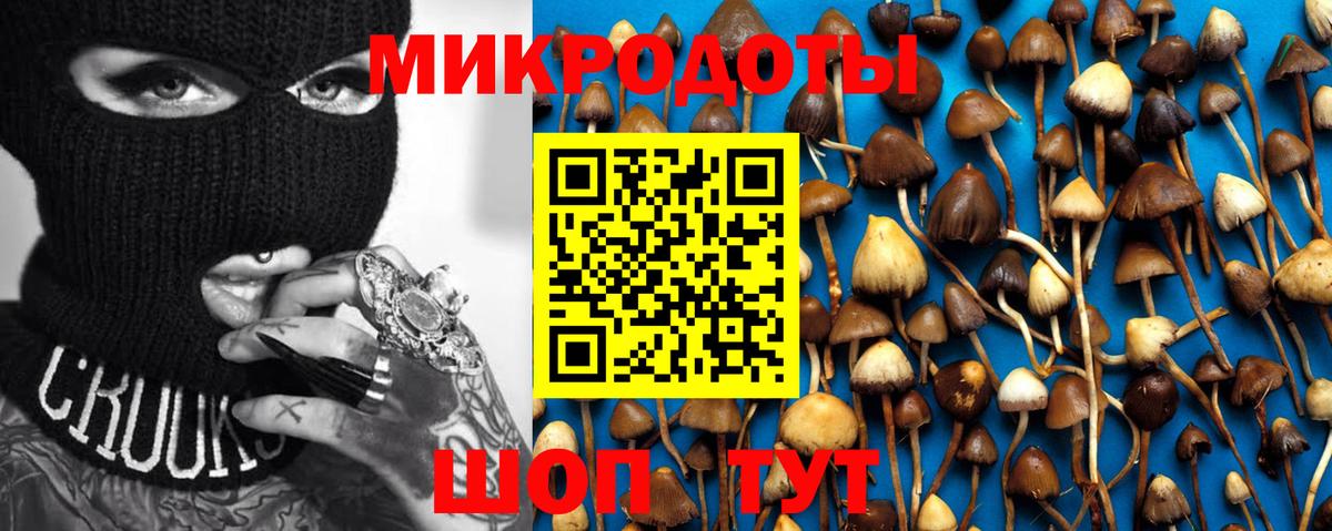 Псилоцибиновые грибы мухоморы Сосновоборск
